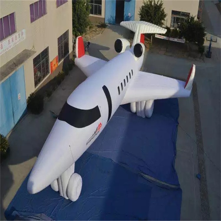 临泉充气模型飞机